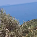 Adriatik Apartments Aa