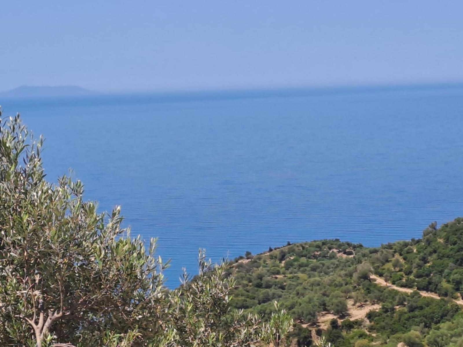 Adriatik Aa *
